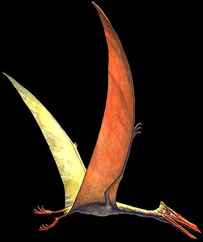 Quetzalcoatlus.jpg